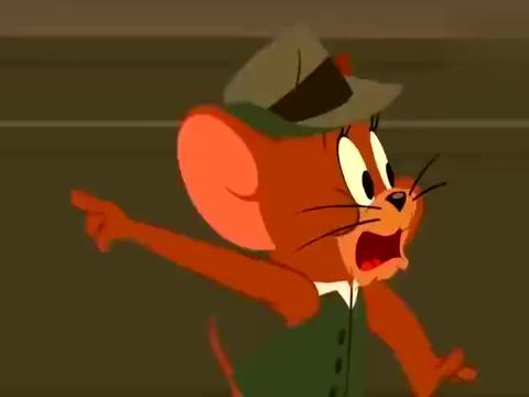 最新老鼠爆料新闻视频下载,一窥娱乐圈幕后真相  第2张